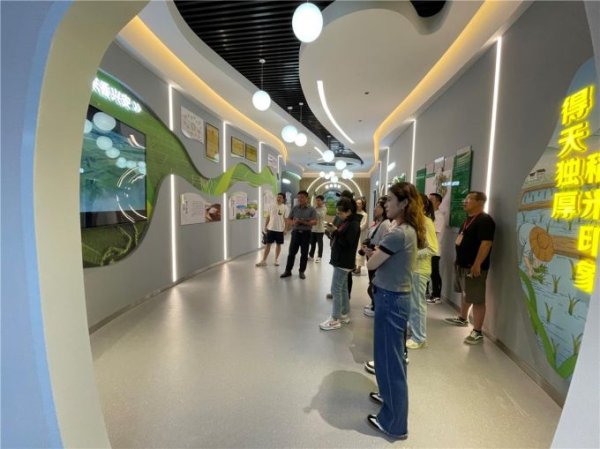 配资可信股票配资门户 三合村，振兴有“稻”