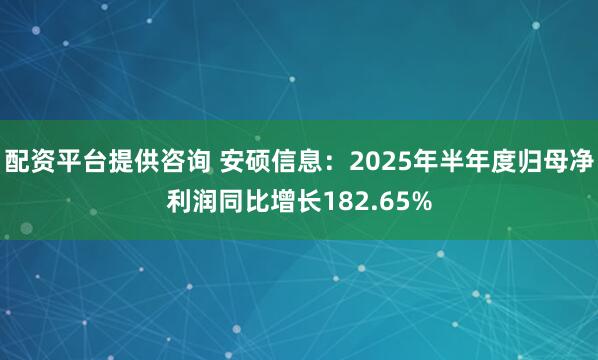 配资平台提供咨询 安硕信息：2025年半年度归母净利润同比增长182.65%
