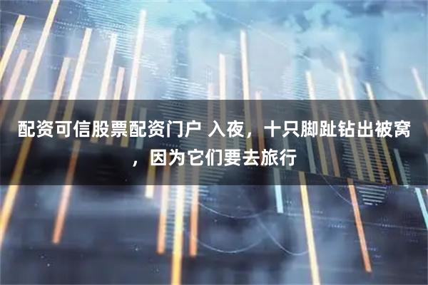 配资可信股票配资门户 入夜，十只脚趾钻出被窝，因为它们要去旅行